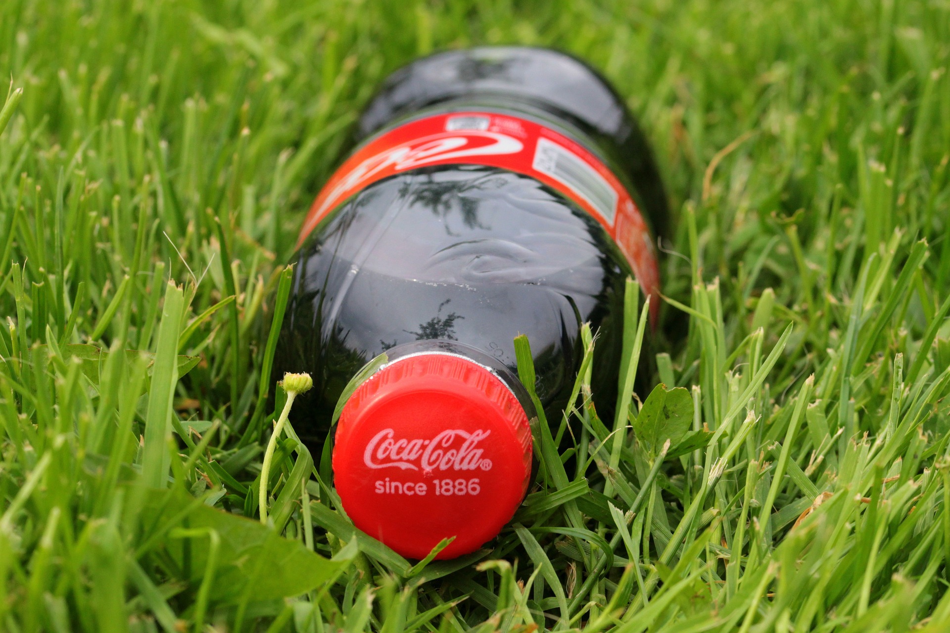 You are currently viewing Coca-Cola apuesta de nuevo a los envases retornables